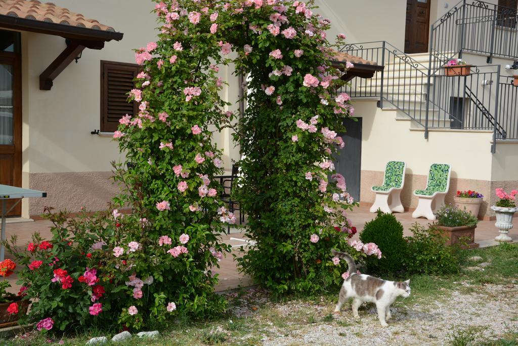 Nonna Alda Country house Spoleto