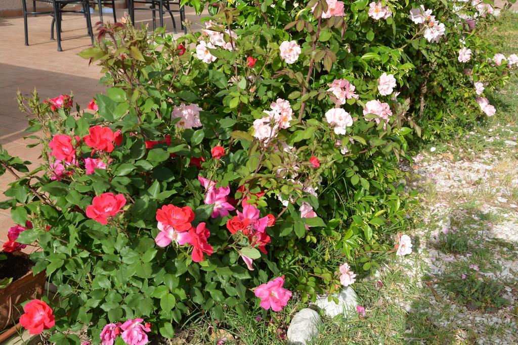 Country house Nonna Alda Spoleto